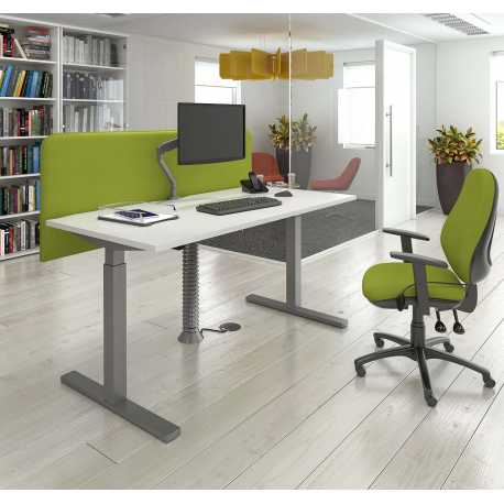 Elephants Office | Electric Height Adjustable Table