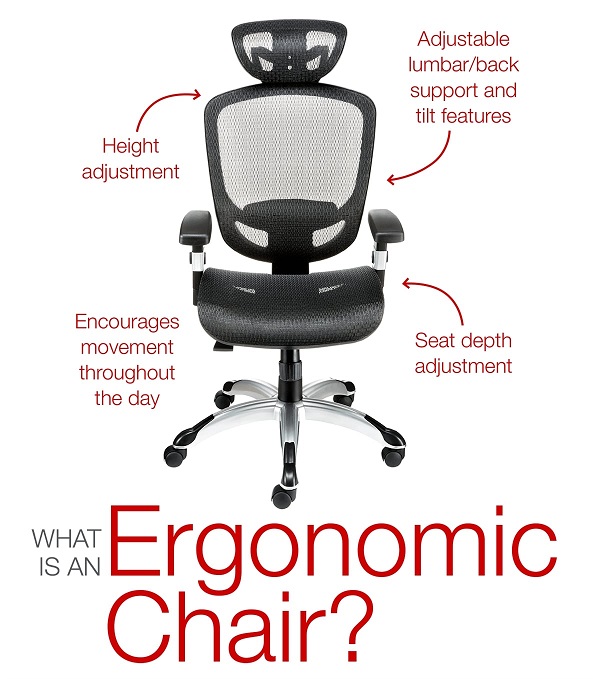 Elephants Office | Ergonomic Chair | Office Chairs
